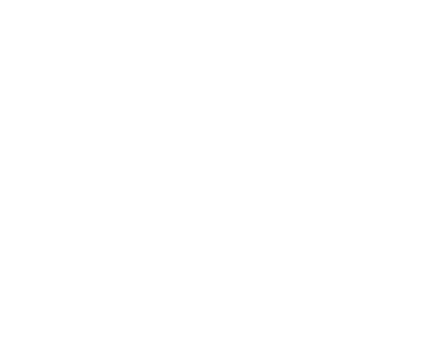 Hamburgen icon